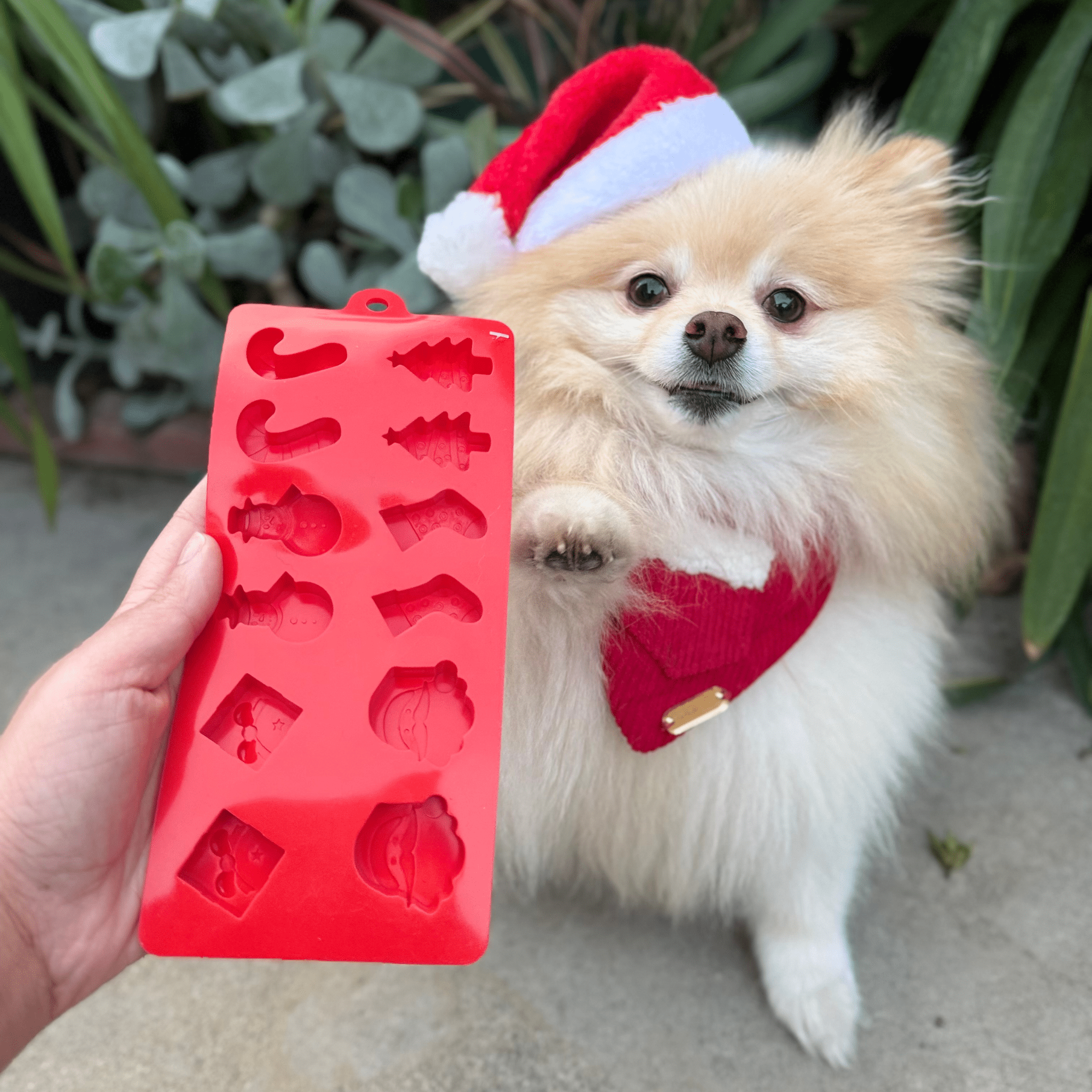 Pet Treat Molds - Elite Pet Collective