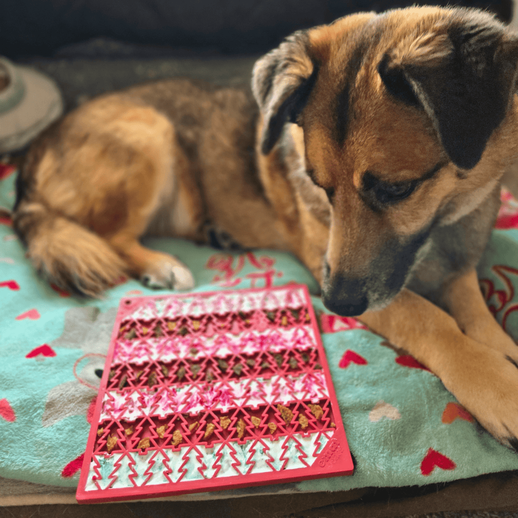 Dog Lick Mats - Elite Pet Collective
