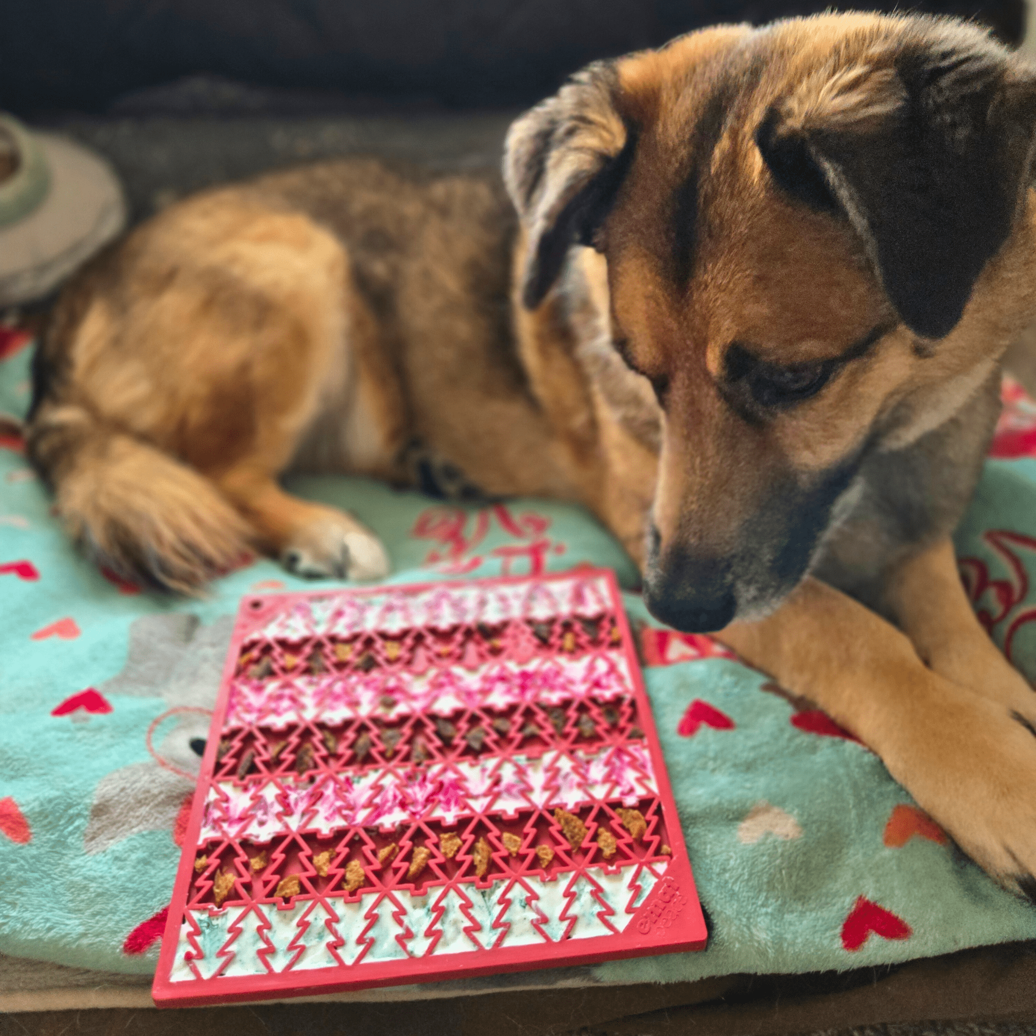 Dog Lick Mats - Elite Pet Collective