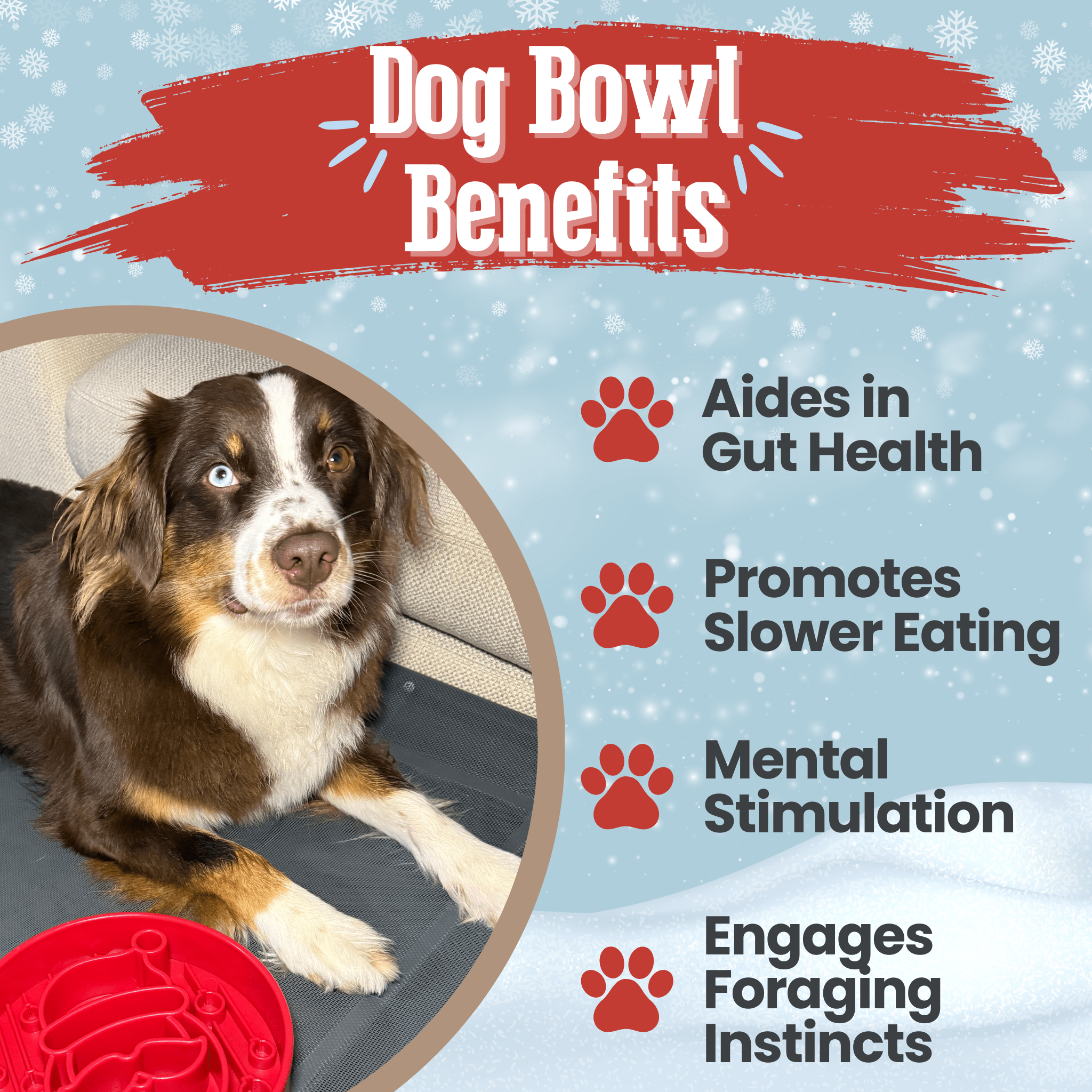 Slow Feeder Dog Bowls - Elite Pet Collective