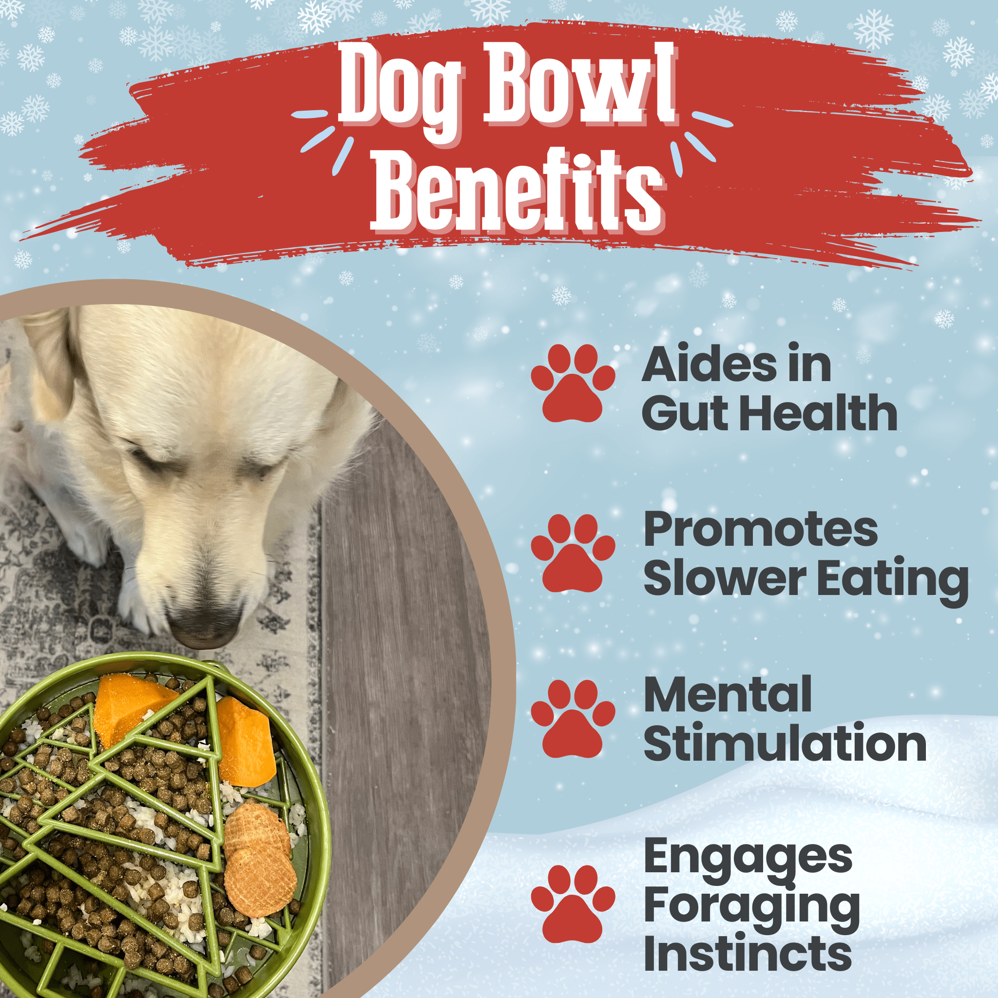 Slow Feeder Dog Bowls - Elite Pet Collective