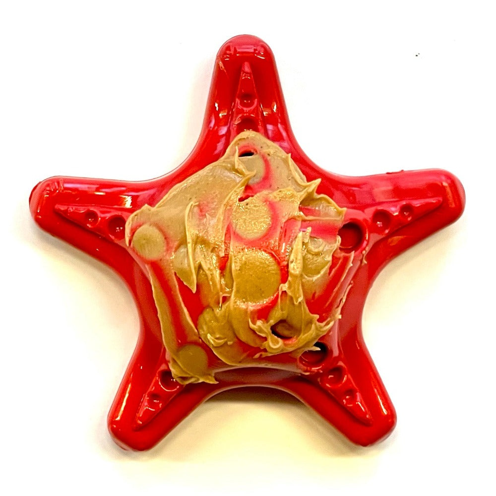Starfish Nylon Dog Chew Toy for Aggressive Chewers | USA Made | SodaPup - Elite Pet Collective