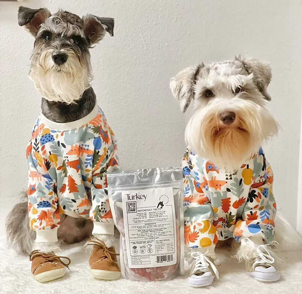 Raw Turkey Meal Blend for Cats & Dogs — Prey Model Raw | Raw Instincts Florida - Elite Pet Collective