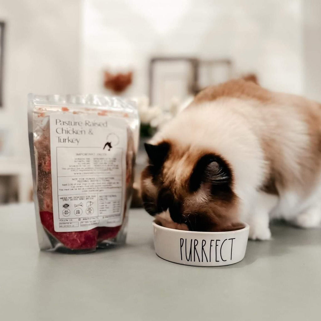 Raw Chicken & Turkey Meal Blend for Cats & Dogs — Prey Model Raw | Raw Instincts Florida - Elite Pet Collective