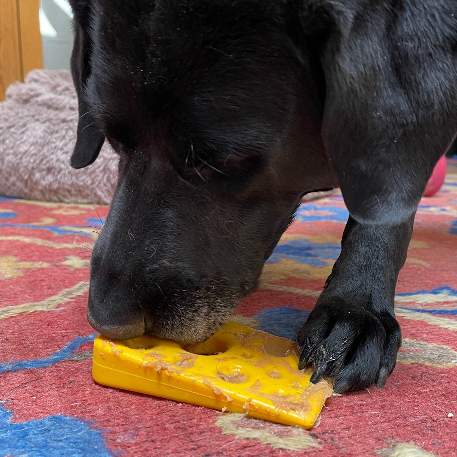 Swiss Cheese Wedge Nylon Dog Chew Toy for Aggressive Chewers | SodaPup - Elite Pet Collective