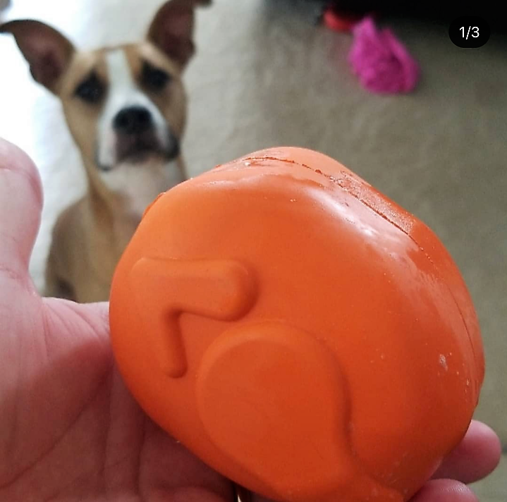 Roasted Turkey Dog Chew Toy & Treat Dispenser - USA Made | SodaPup - Elite Pet Collective