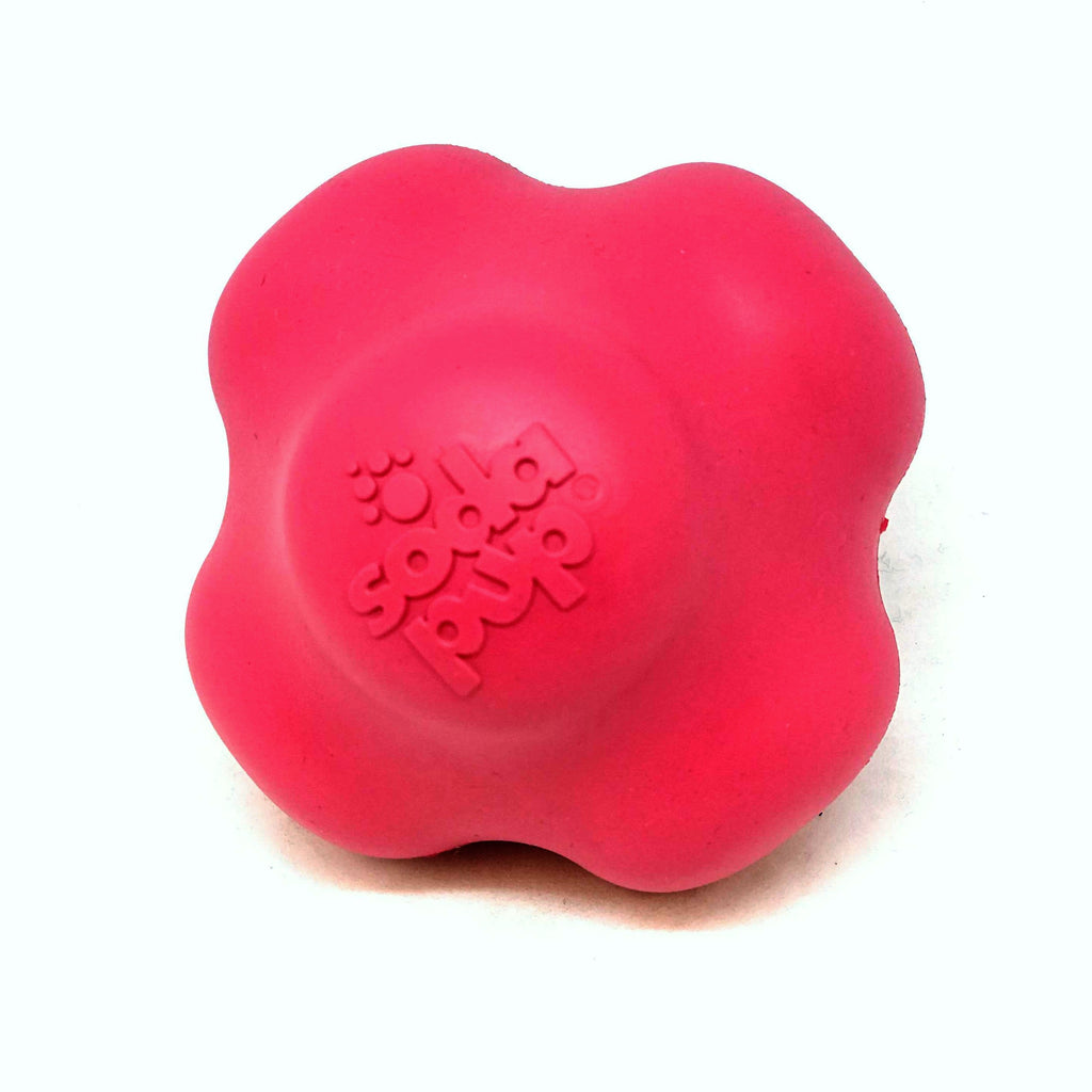 Crazy Bounce Rubber Dog Chew Toy for Power Chewers | Retrieving Ball | USA Made - Elite Pet Collective