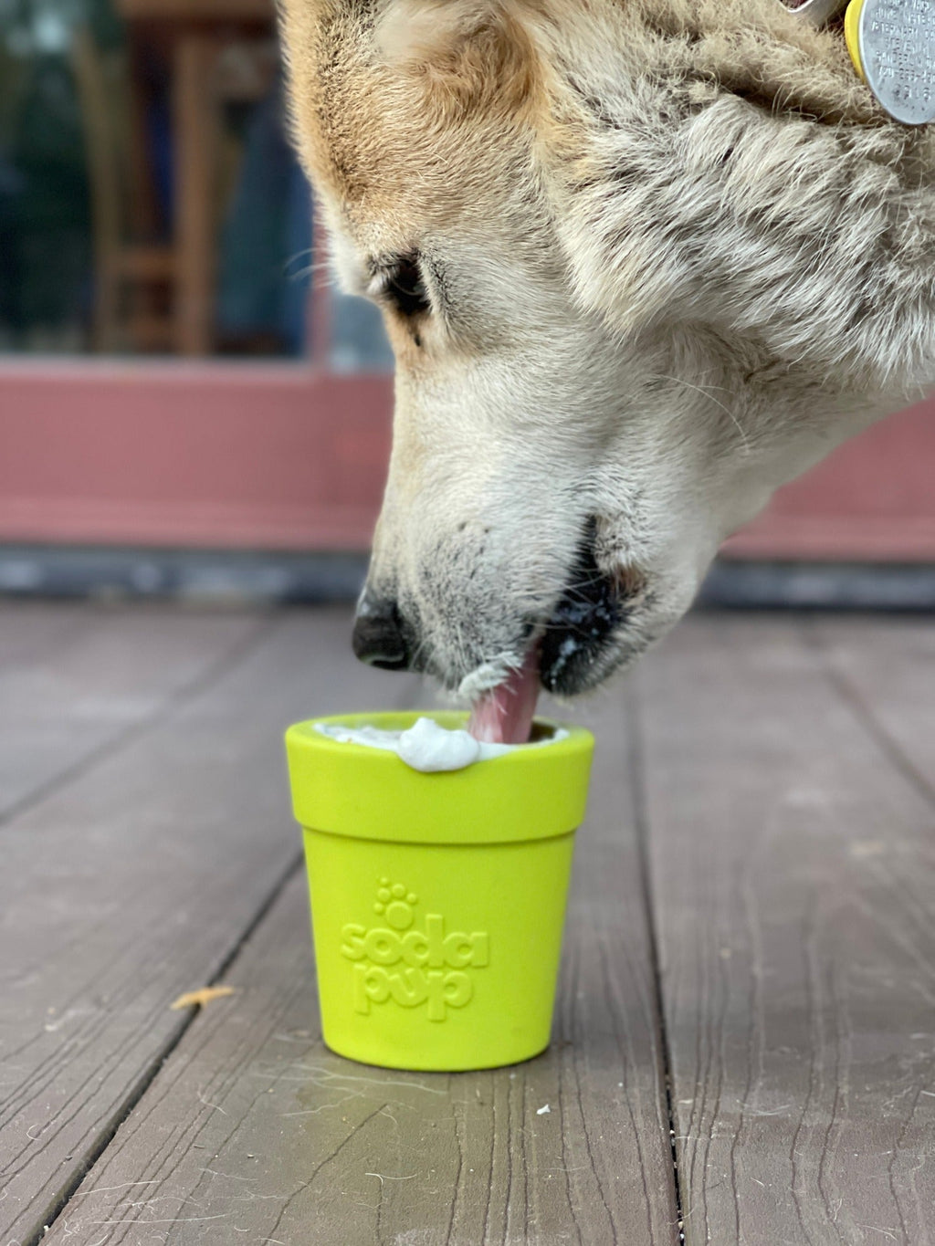 Large Flower Pot eCup Dog Treat Dispenser | Durable USA-Made Enrichment Toy | SodaPup - Elite Pet Collective
