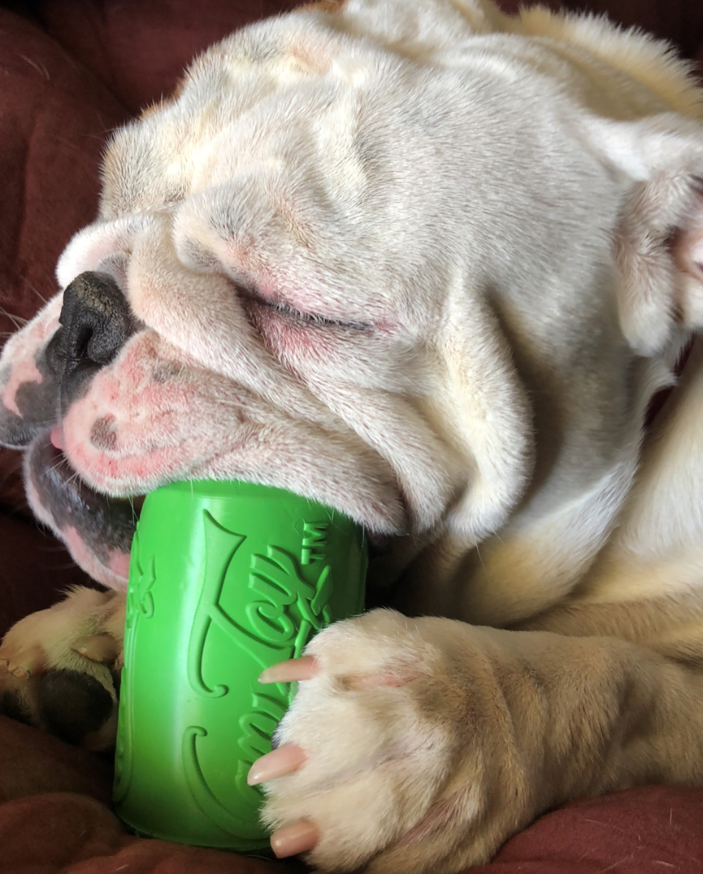 Can Toy Rubber Dog Chew Toy for Average Chewers | Treat Dispenser | USA Made - Elite Pet Collective