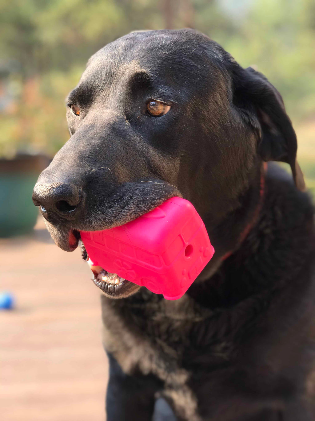 Surf's Up! Retro Van Dog Toy - Durable Chew Toy for Large Dogs | USA Made - Elite Pet Collective
