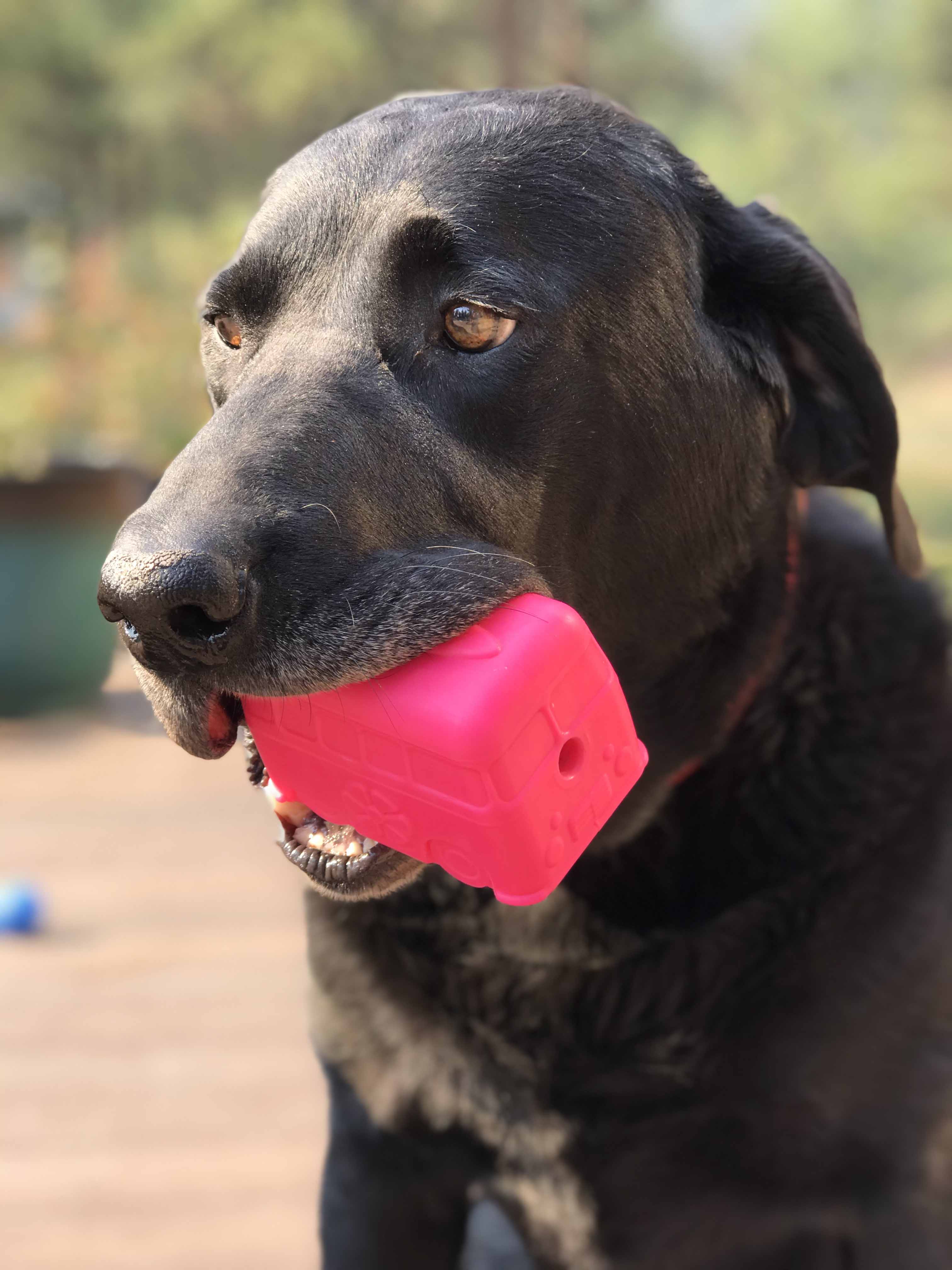 Surf's Up! Retro Van Dog Toy - Durable Chew Toy for Large Dogs | USA Made - Elite Pet Collective