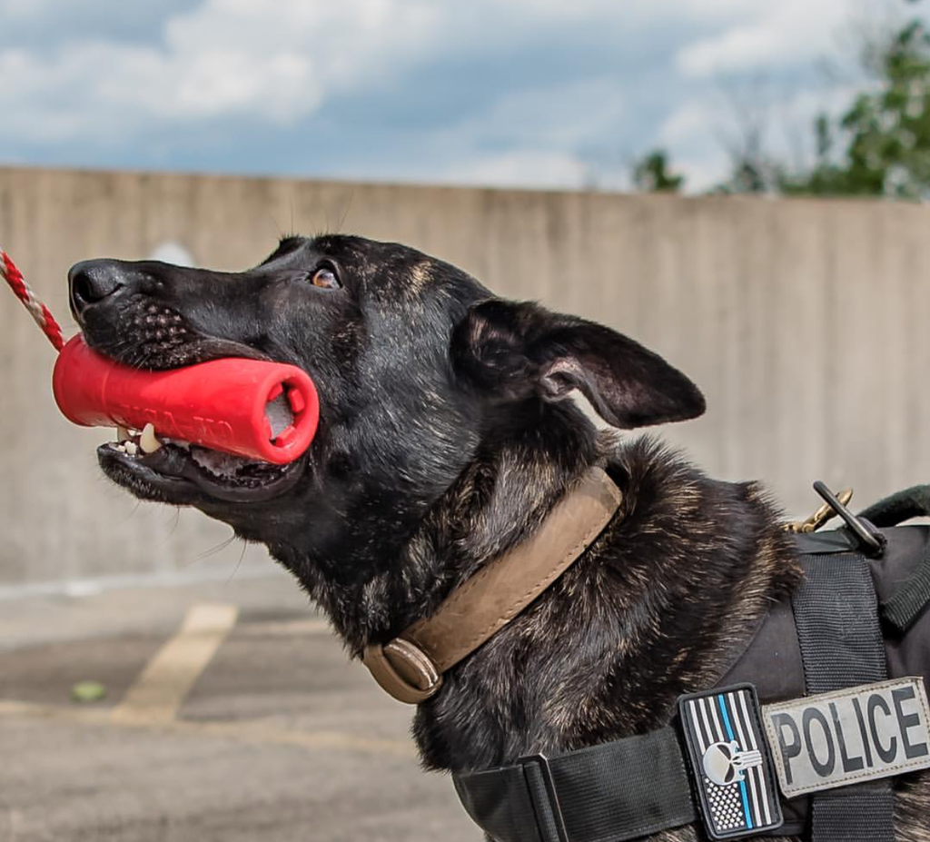 USA-K9 Firecracker Floating Training Dummy | K9 Handler Reward Toy | Red | USA Made - Elite Pet Collective