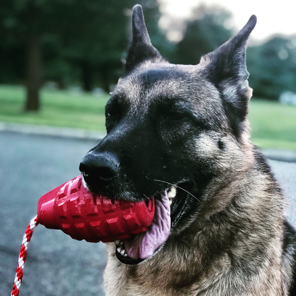 USA-K9 Grenade Rubber Dog Chew Toy | K9 Handler Reward Toy | Blue | USA Made - Elite Pet Collective