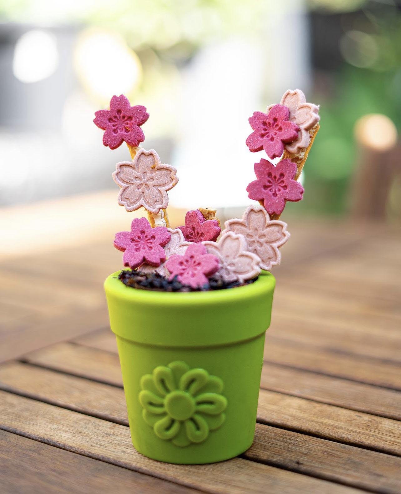 Large Flower Pot eCup Dog Treat Dispenser | Durable USA-Made Enrichment Toy | SodaPup - Elite Pet Collective