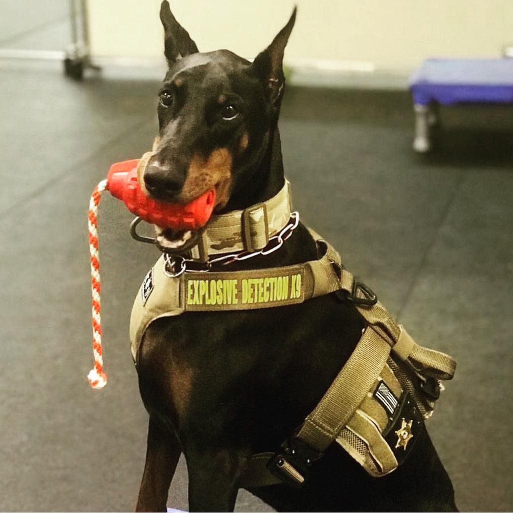 USA-K9 Magnum Grenade - Black Magnum Rubber Chew Toy for Extreme Chewers | USA Made - Elite Pet Collective