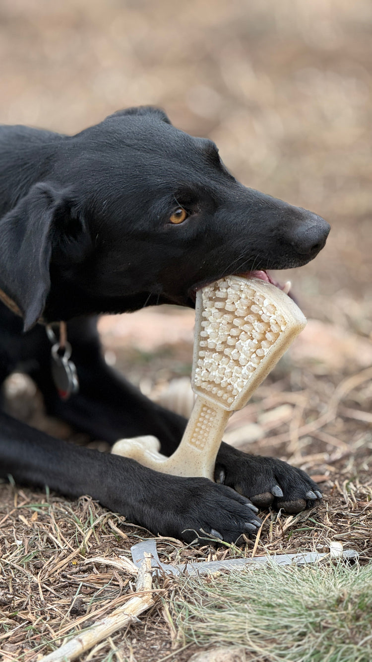 Waffle Tower Nylon Chew & Enrichment Toy | 2-in-1 for Aggressive Chewers | SodaPup - Elite Pet Collective
