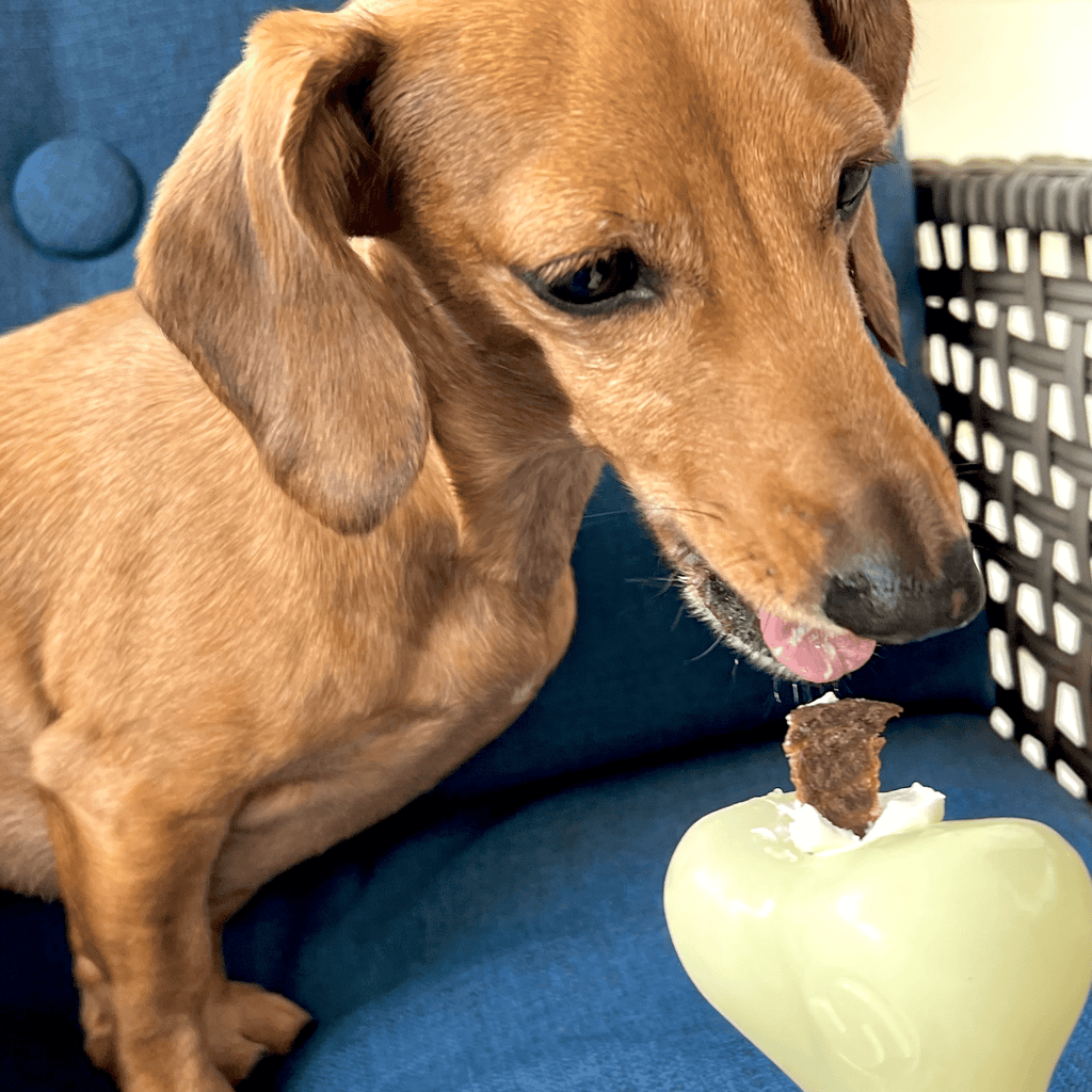 Dog Treat Dispensers - Elite Pet Collective