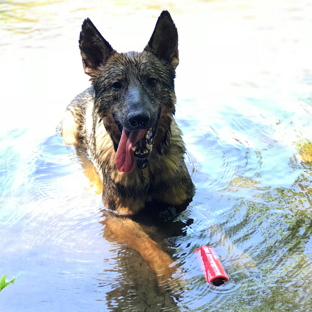 USA-K9 Firecracker Floating Training Dummy | K9 Handler Reward Toy | Red | USA Made - Elite Pet Collective