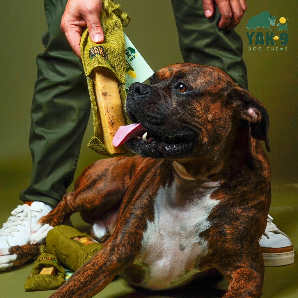 Flaxseed & Mint Cheese Chews for Dogs - Elite Pet Collective