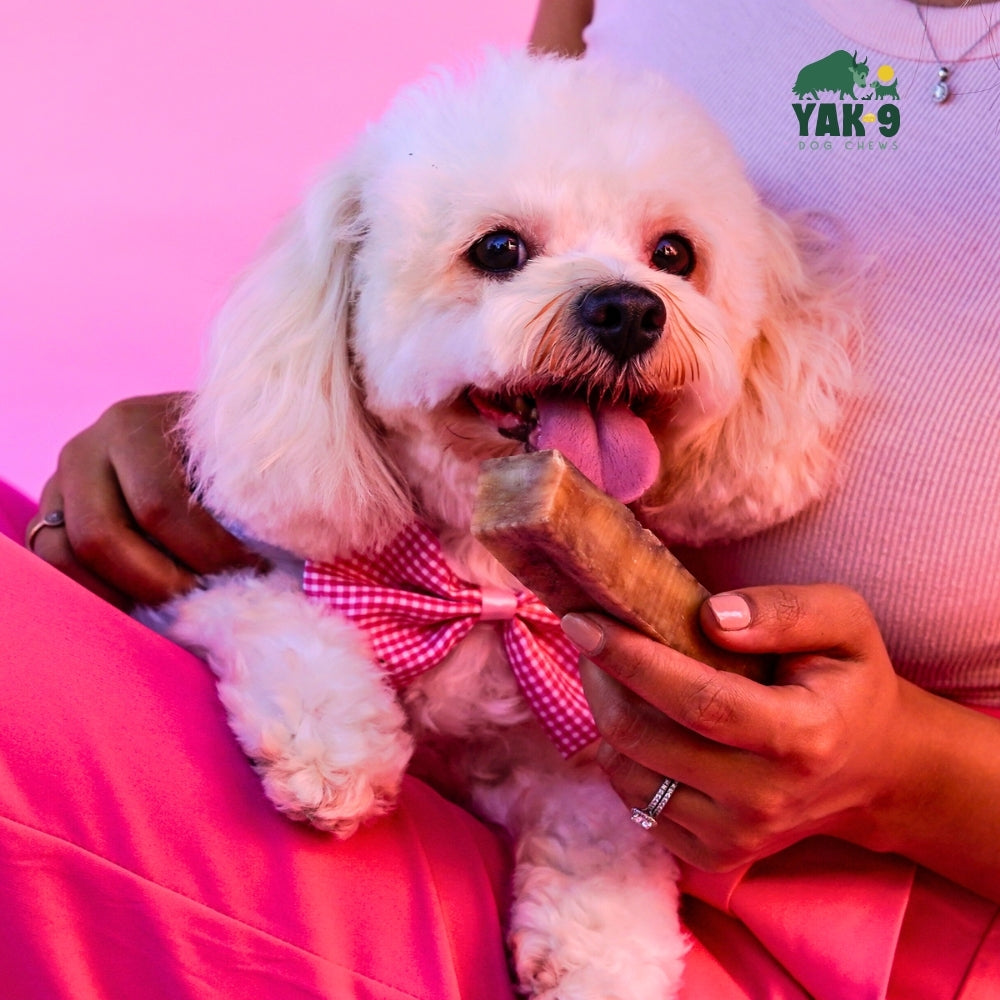 Strawberry Cheese Chews for Dogs - Elite Pet Collective