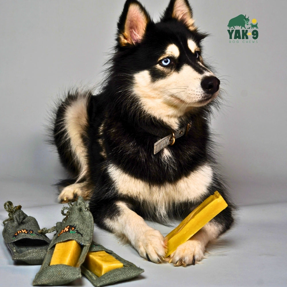 Yak and Cow Cheese for Dogs - Natural Chew Treats for Happy, Healthy Pups - Elite Pet Collective