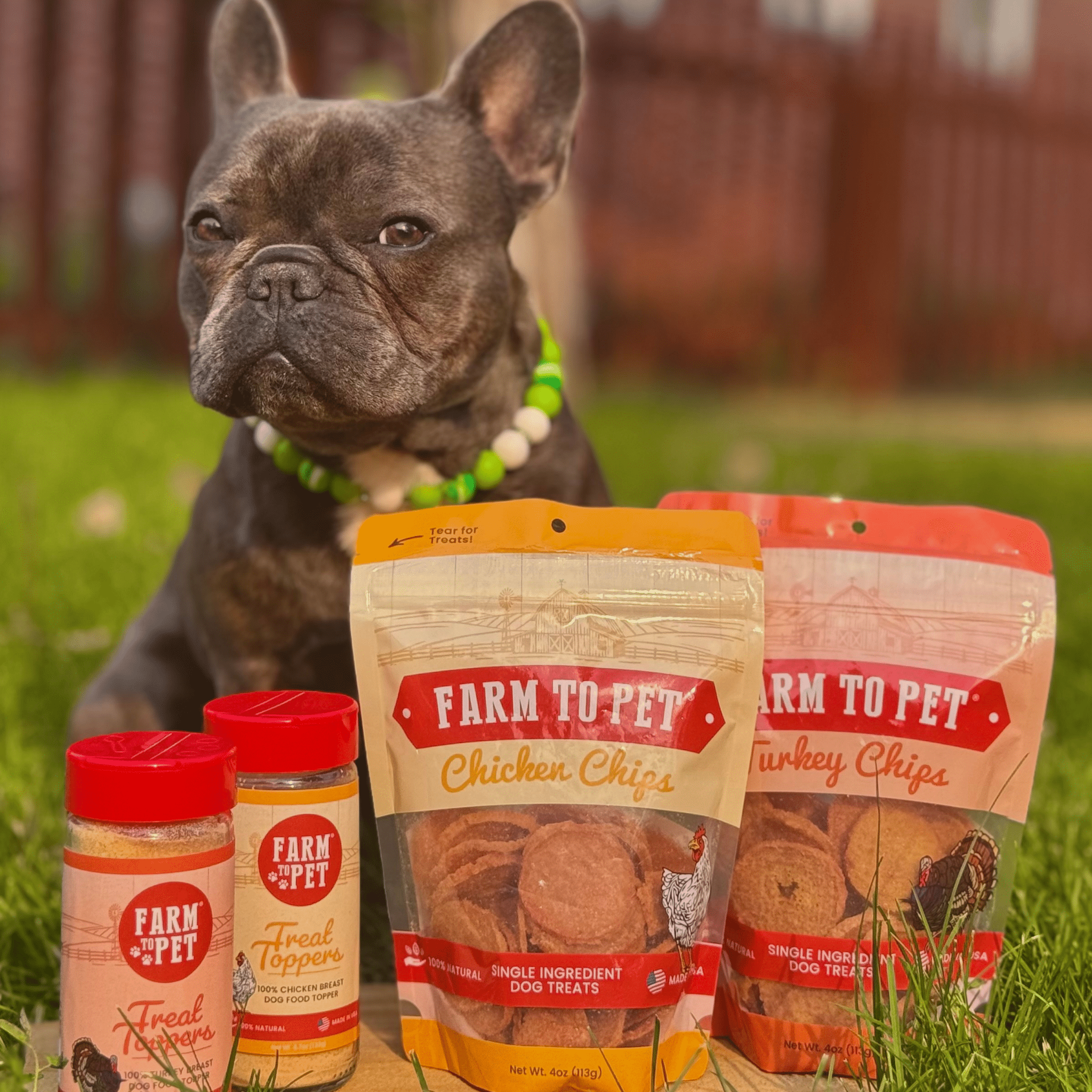 Chicken & Turkey Dog Food Topper Bundle - Elite Pet Collective