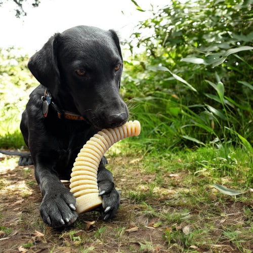 Flufflehorn Dental Antler - Indestructible Nylon Dog Chew Toy XL | USA Made - Elite Pet Collective