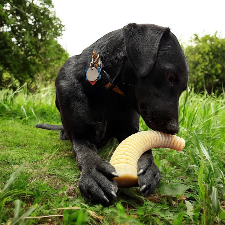 Flufflehorn Dental Antler - Indestructible Nylon Dog Chew Toy XL | USA Made - Elite Pet Collective