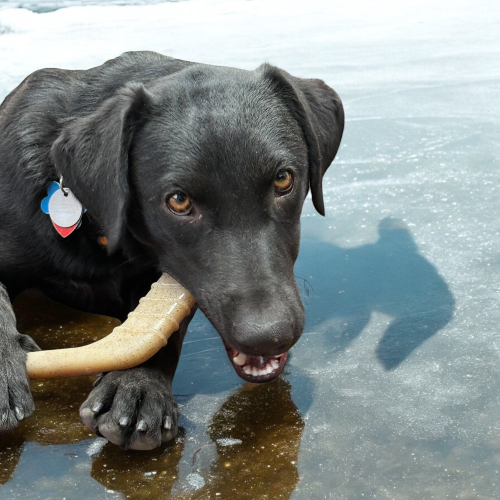 Hockey Stick Nylon Dog Chew Toy - Ultra-Durable for Aggressive Chewers USA - Elite Pet Collective