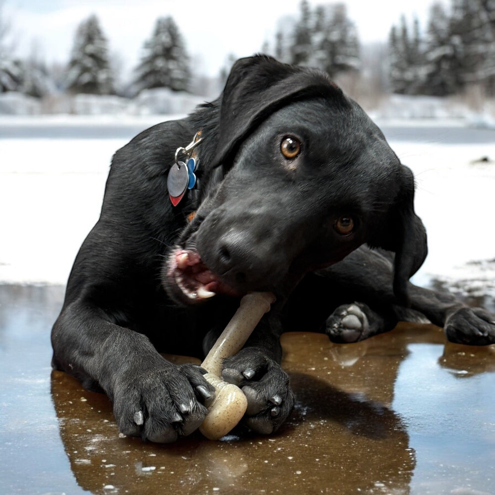 Hockey Stick Nylon Dog Chew Toy - Ultra-Durable for Aggressive Chewers USA - Elite Pet Collective