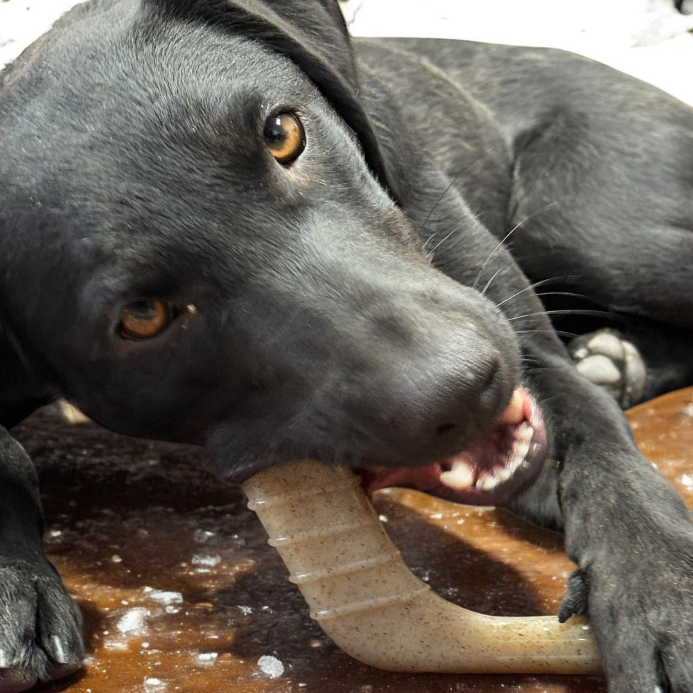 Hockey Stick Nylon Dog Chew Toy - Ultra-Durable for Aggressive Chewers USA - Elite Pet Collective