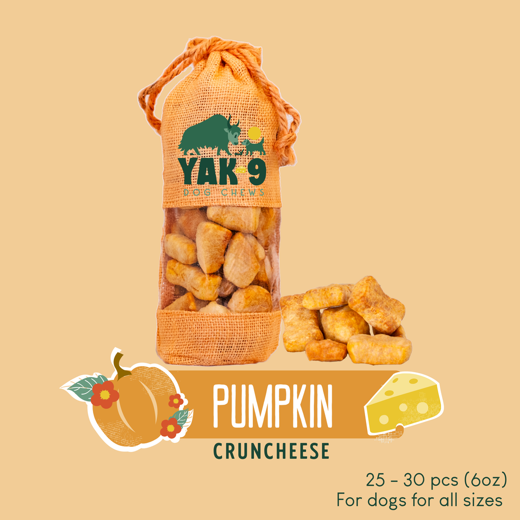 Pumpkin Cheese Chews for Dogs - Elite Pet Collective