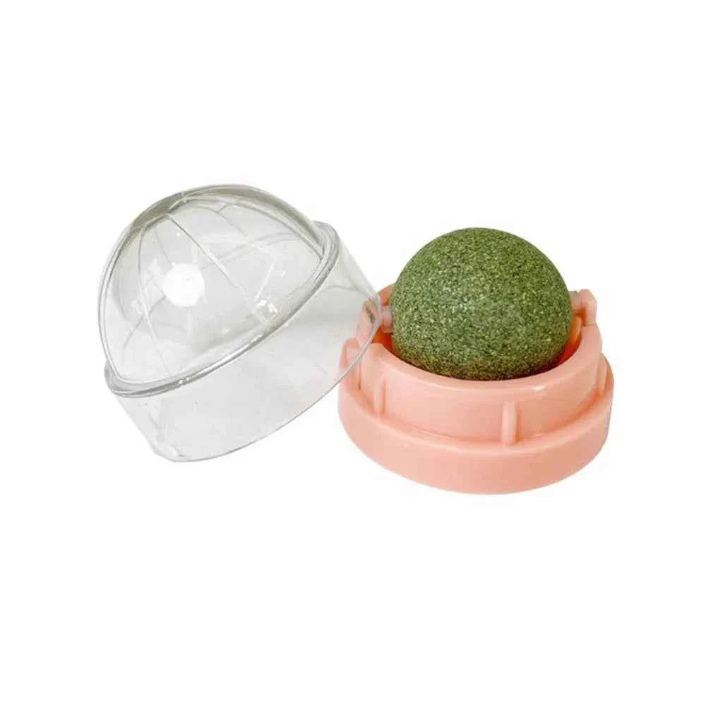 Catnip Wall Ball Treats – Digestive Aid & Fun for Cats - Elite Pet Collective