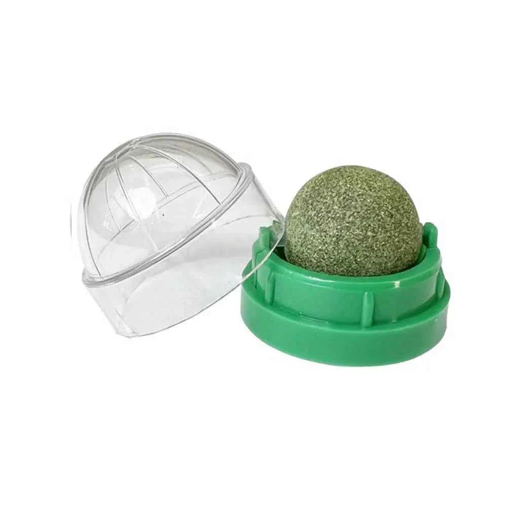 Catnip Wall Ball Treats – Digestive Aid & Fun for Cats - Elite Pet Collective