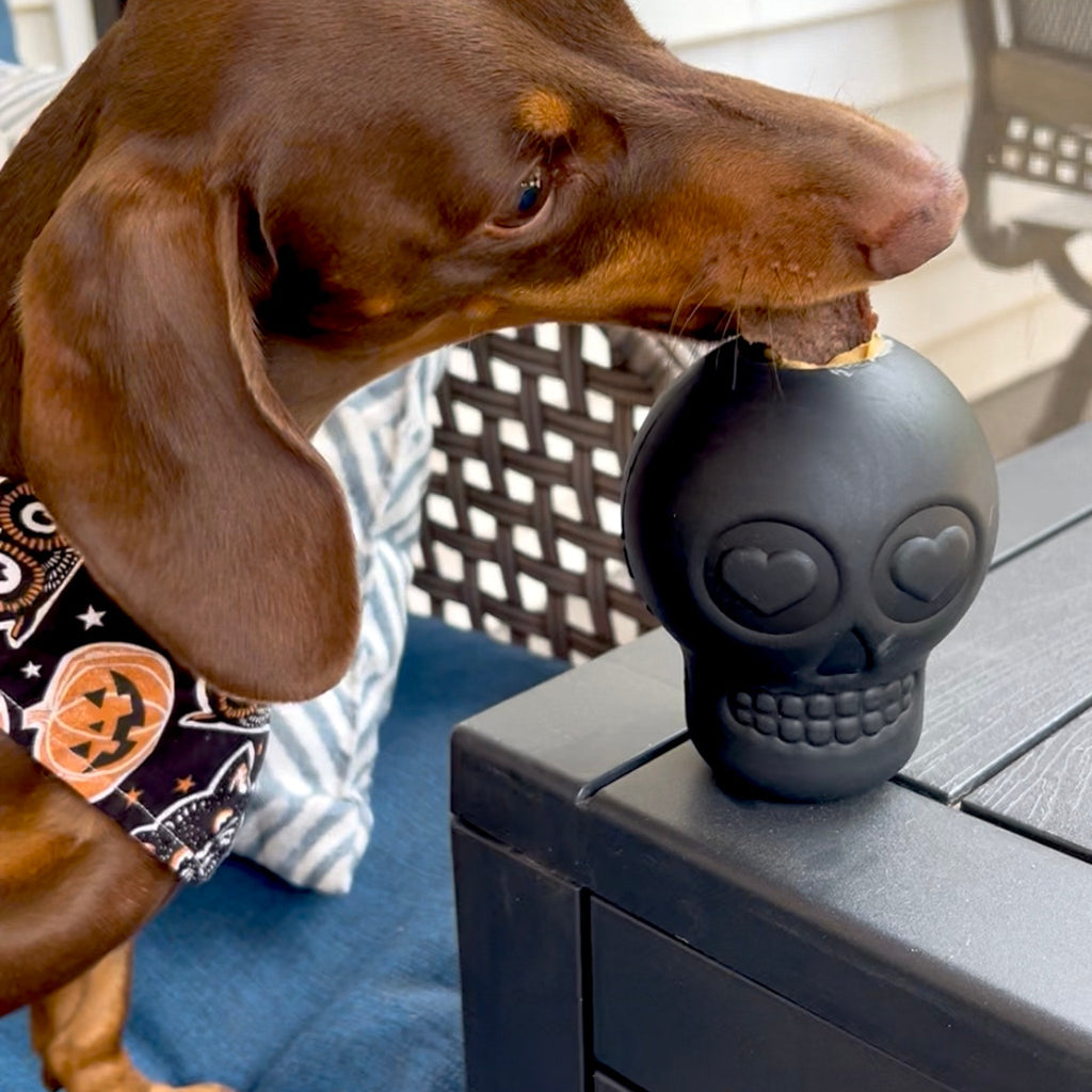 Dog Treat Dispensers - Elite Pet Collective