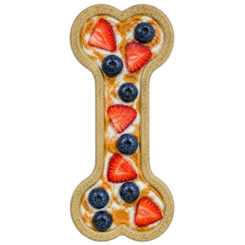 Bone eChew Ultra Durable Nylon Dog Chew Toy for Aggressive Chewers | USA Made - Elite Pet Collective