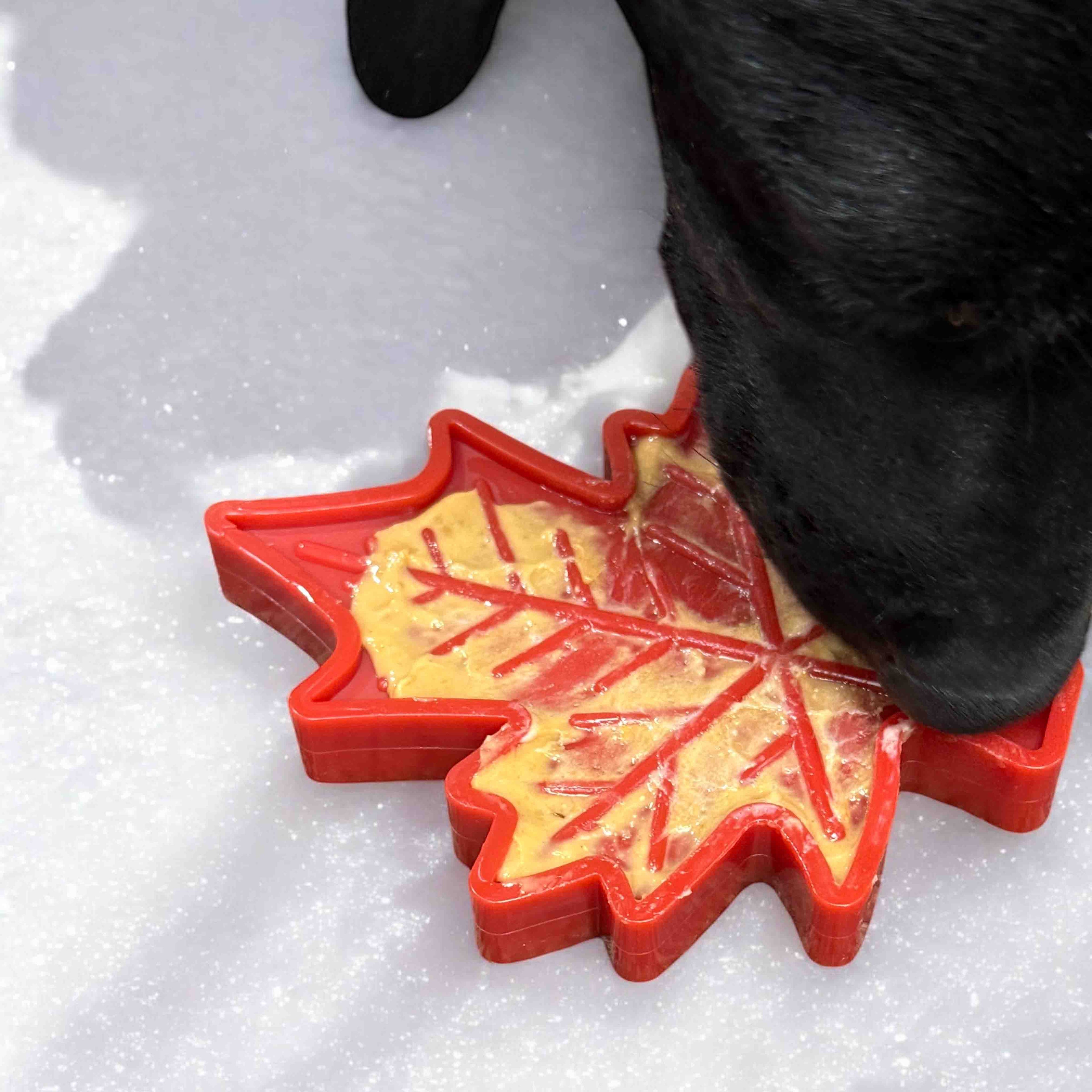 Canadian Maple Leaf Nylon Dog Chew Toy - Indestructible & USA Made - Elite Pet Collective