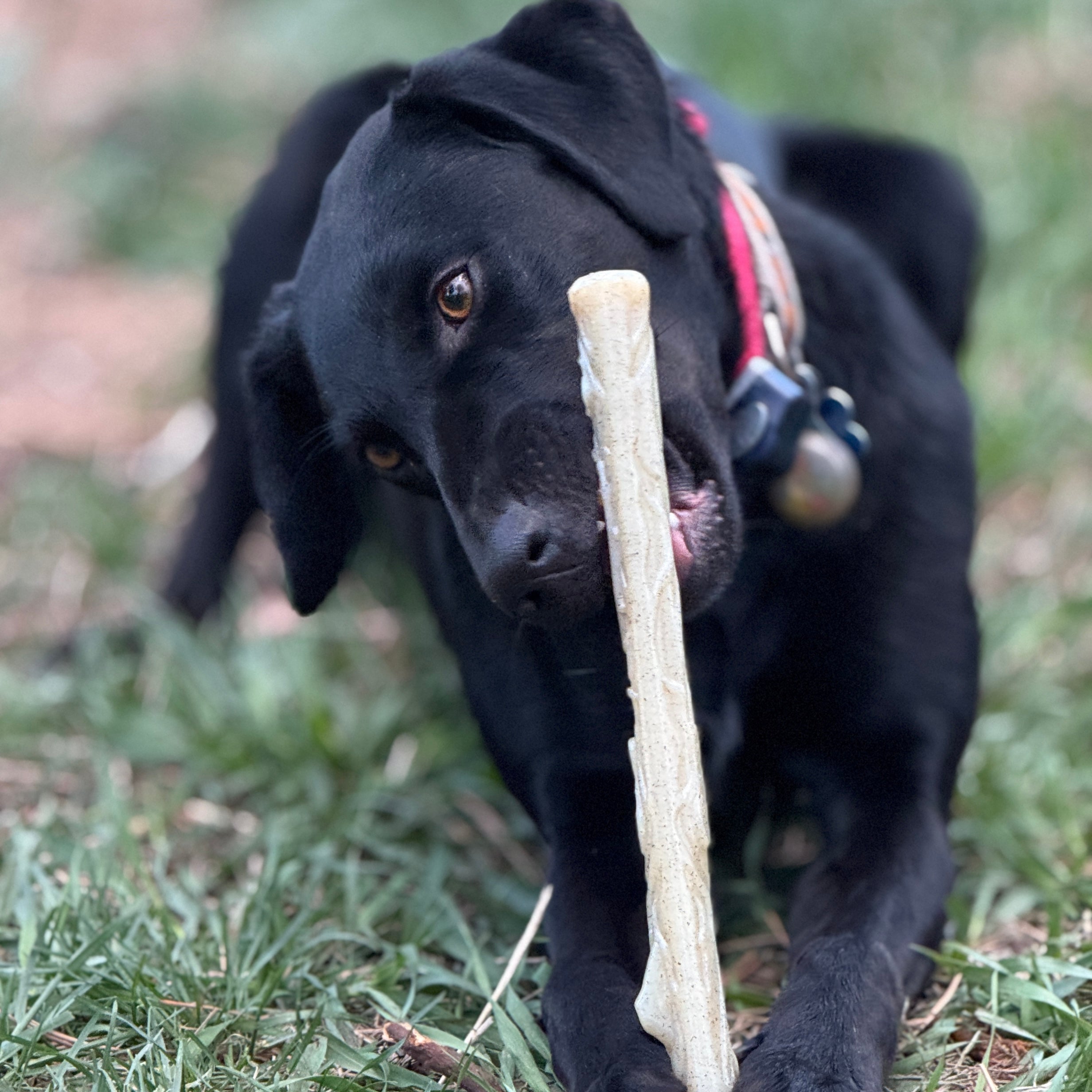 Durable Nylon Chew Stick for Power Chewers | Indestructible Dog Toy USA - Elite Pet Collective