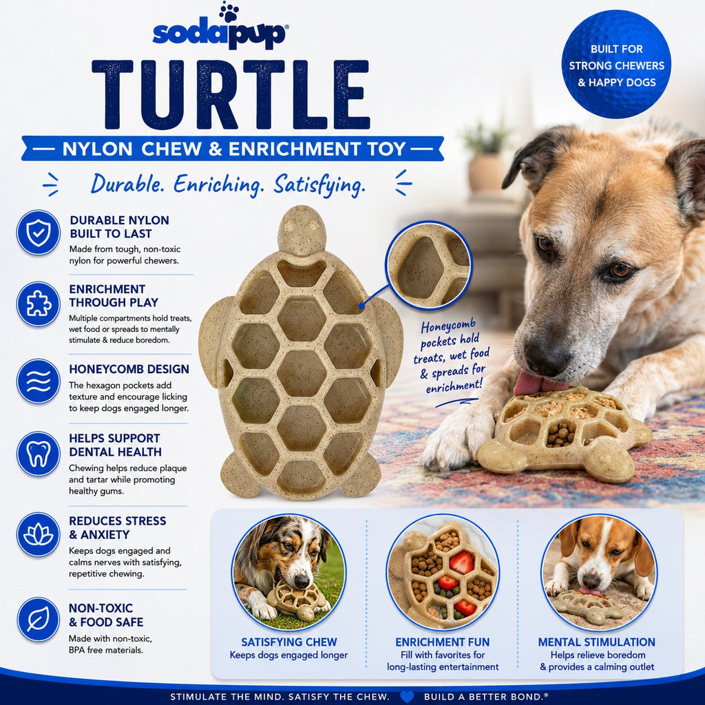 Turtle Nylon Chew Toy - Ultra-Durable Enrichment Toy for Power Chewers USA - Elite Pet Collective