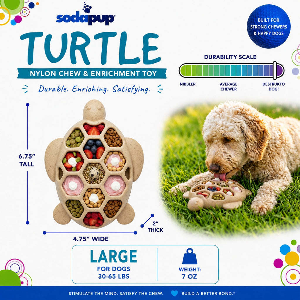 Turtle Nylon Chew Toy - Ultra-Durable Enrichment Toy for Power Chewers USA - Elite Pet Collective