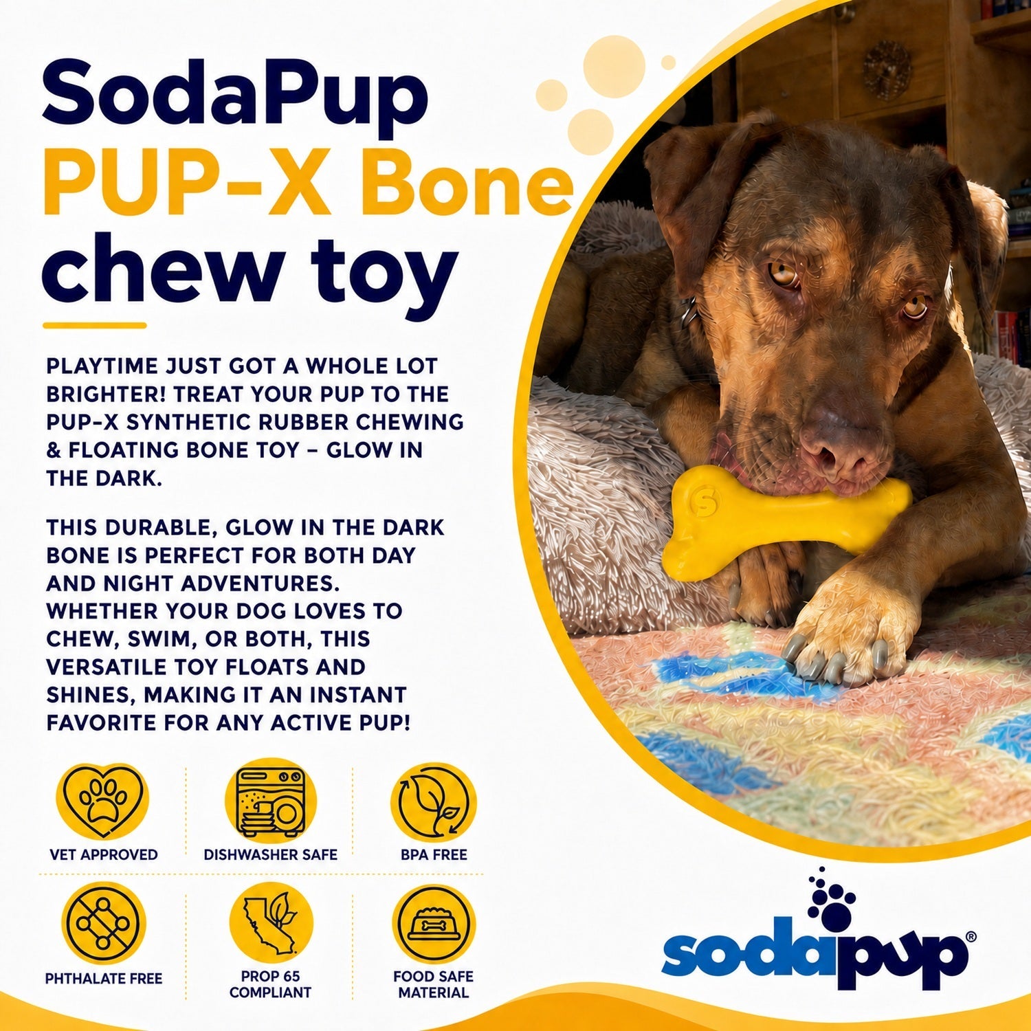 PUP-X Rubber Bone Dog Toy - Durable, Floats, Chew Toy for Large Dogs | USA - Elite Pet Collective
