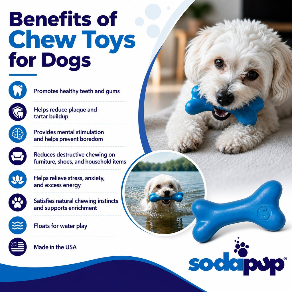 PUP-X Rubber Bone Dog Toy - Durable, Floats, Chew Toy for Large Dogs | USA - Elite Pet Collective