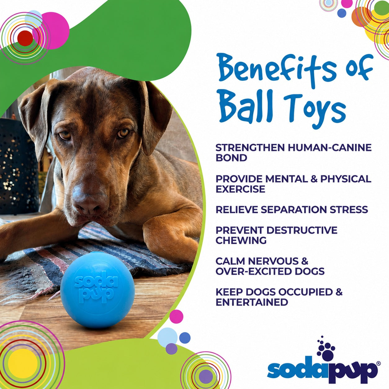 Squeak Ball - Durable Squeaky Dog Toy, Floats, Chew Toy | USA Made - Elite Pet Collective