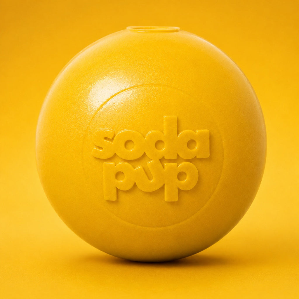 Squeak Ball - Durable Squeaky Dog Toy, Floats, Chew Toy | USA Made - Elite Pet Collective