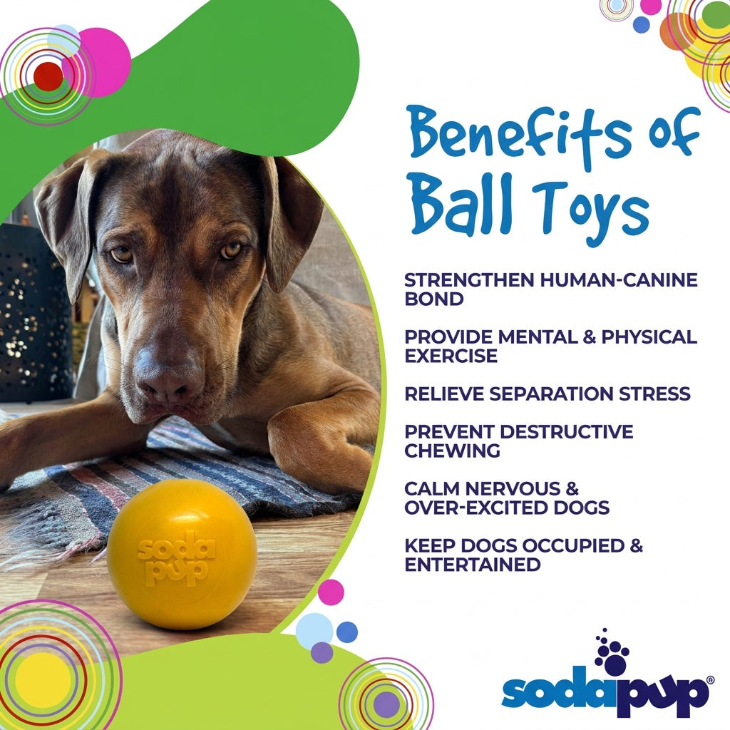 Squeak Ball - Durable Squeaky Dog Toy, Floats, Chew Toy | USA Made - Elite Pet Collective