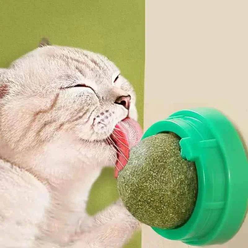 Catnip Wall Ball Treats – Digestive Aid & Fun for Cats - Elite Pet Collective