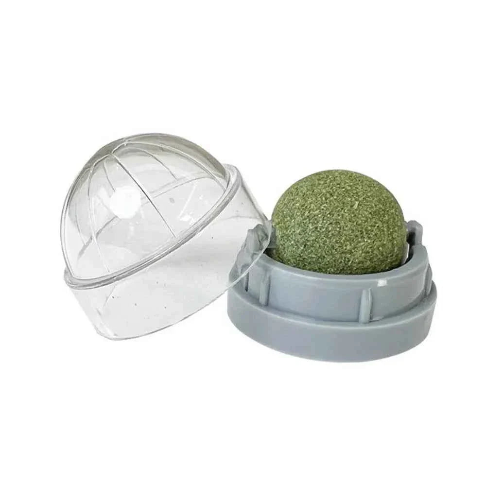 Catnip Wall Ball Treats – Digestive Aid & Fun for Cats - Elite Pet Collective