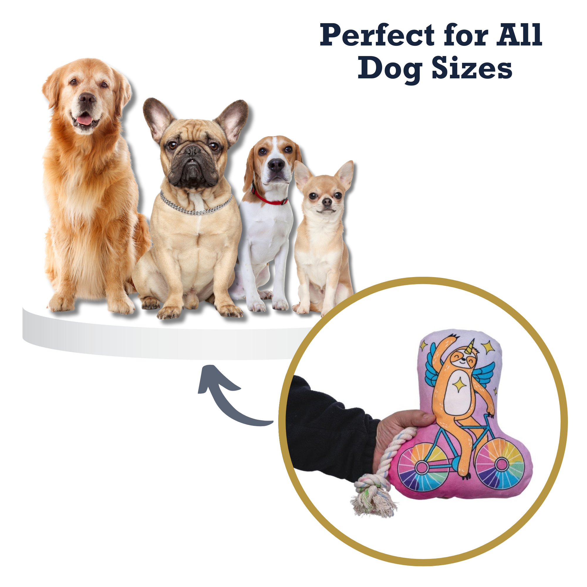 Slow Biker Plush Dog Toy – with Squeaker & Crinkle Paper for Fun Play - Elite Pet Collective
