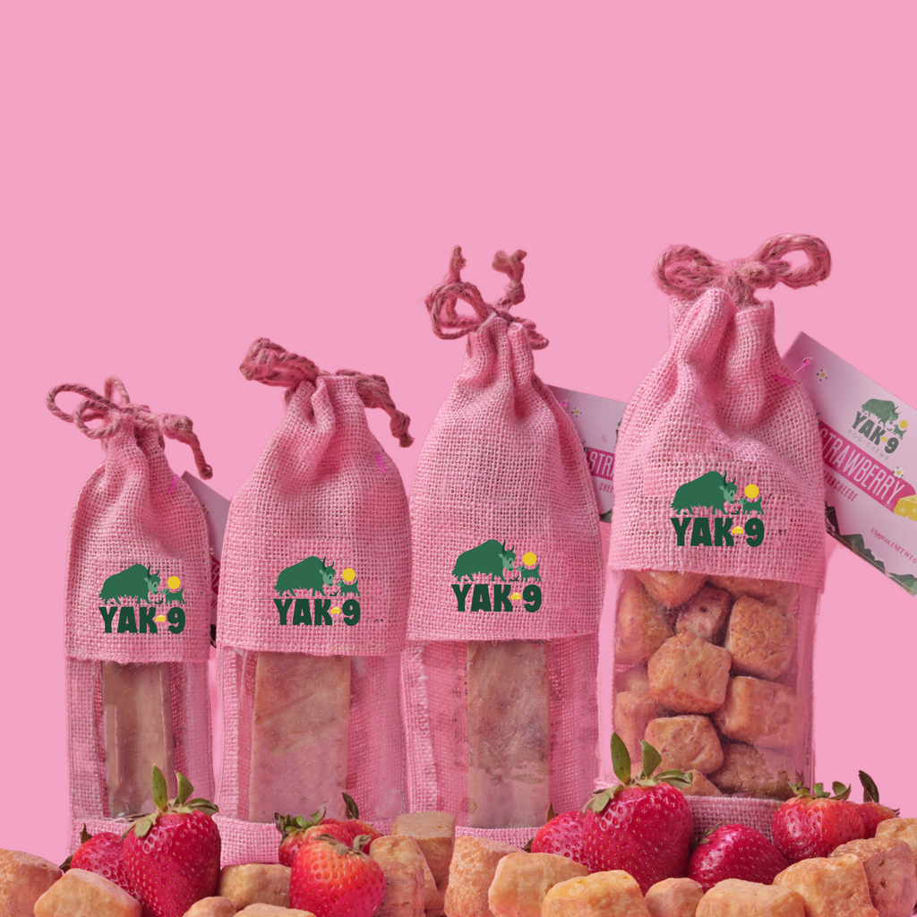 Strawberry Cheese Chews for Dogs - Elite Pet Collective