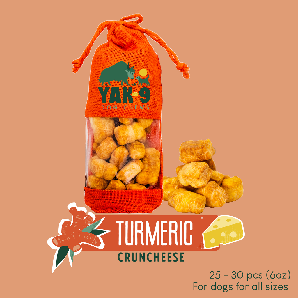 Turmeric Cheese Chews for Dogs - Elite Pet Collective